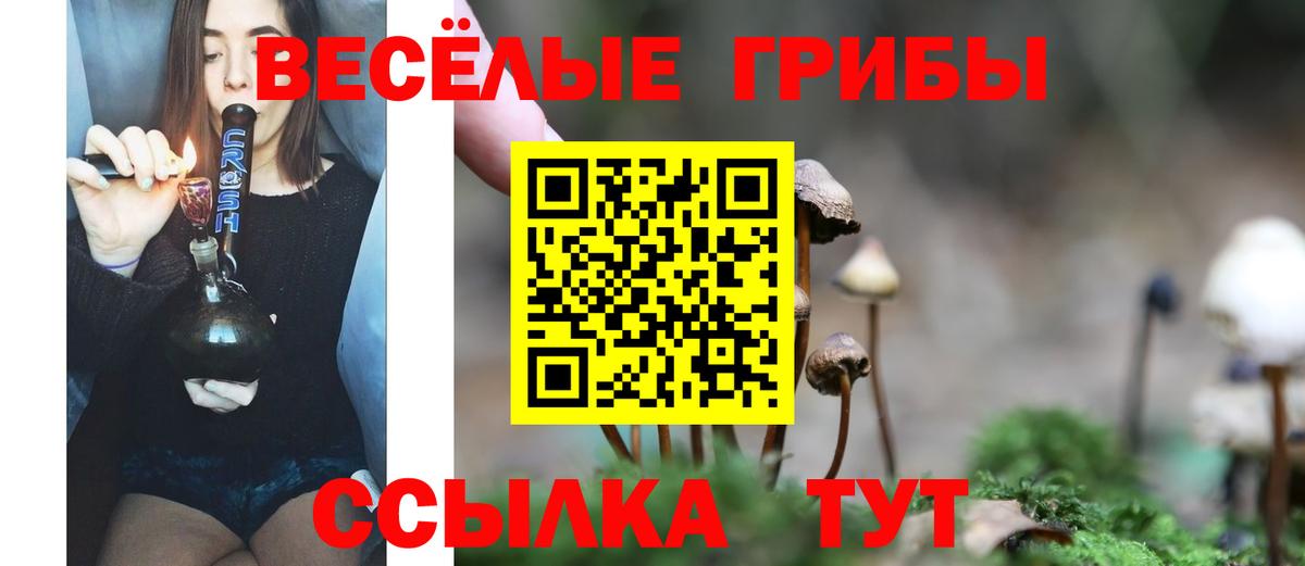 Псилоцибиновые грибы Magic Shrooms Карталы